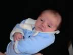 DSC01789.jpg (311kb)