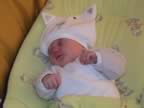 DSC01800.jpg (35kb)
