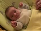 DSC01815.jpg (36kb)