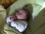 DSC01878.jpg (36kb)
