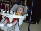 DSC02026.jpg (65kb)