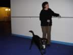 DSC00562.jpg (85kb)