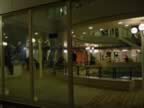 DSC00574.jpg (164kb)