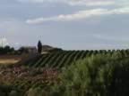 DSC00214.JPG (495kb)