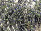 DSC02160.JPG (433kb)