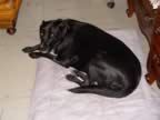 DSC01107.jpg (137kb)