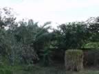 DSC01108.jpg (313kb)