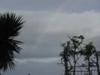 DSC01110.jpg (118kb)