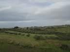DSC01112.jpg (152kb)