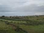 DSC01113.jpg (159kb)