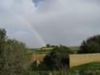 DSC01117.jpg (184kb)