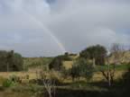 DSC01118.jpg (199kb)