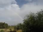 DSC01119.jpg (187kb)