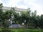 DSC01120.jpg (281kb)