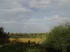 DSC01122.jpg (176kb)
