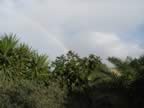 DSC01123.jpg (230kb)