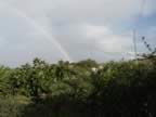 DSC01124.jpg (195kb)