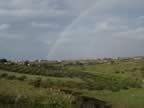 DSC01126.jpg (162kb)
