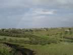 DSC01130.jpg (182kb)