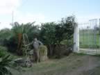 DSC01132.jpg (305kb)