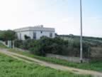 DSC01136.jpg (232kb)
