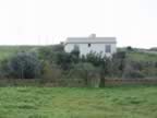 DSC01137.jpg (234kb)