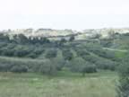 DSC01139.jpg (242kb)