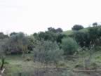 DSC01142.jpg (277kb)
