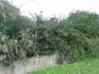 DSC01143.jpg (437kb)