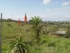DSC01146.jpg (300kb)