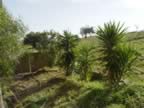 DSC01150.jpg (389kb)