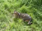 DSC01151.jpg (568kb)