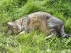 DSC01152.jpg (520kb)