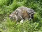 DSC01153.jpg (514kb)