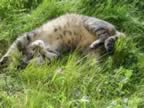 DSC01154.jpg (501kb)