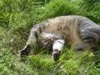 DSC01155.jpg (498kb)