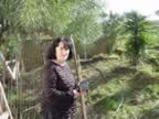 DSC01157.jpg (485kb)