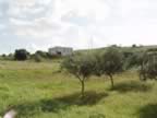 DSC01160.jpg (270kb)