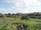 DSC01161.jpg (272kb)