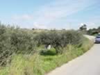 DSC01169.jpg (310kb)