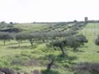 DSC01170.jpg (319kb)
