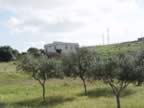 DSC01174.jpg (273kb)
