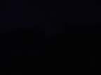 DSC01191.jpg (19kb)