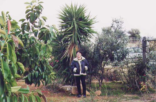A06